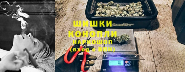 сатива Бронницы
